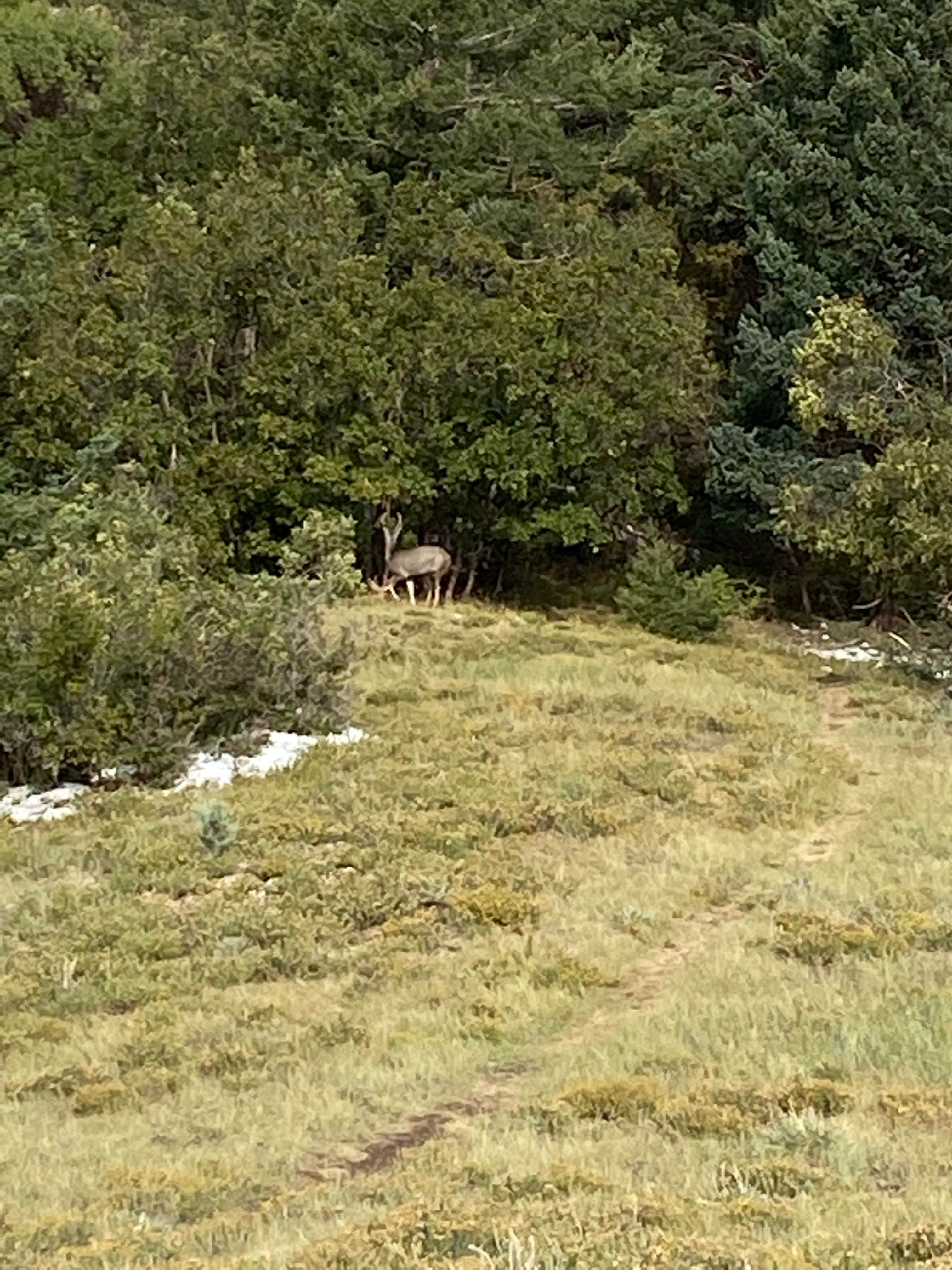 Camper-submitted photo at New Canyon Campground near San Acacia, NM