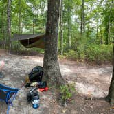 Review photo of Red River Gorge Campground by Wayne H., September 14, 2020