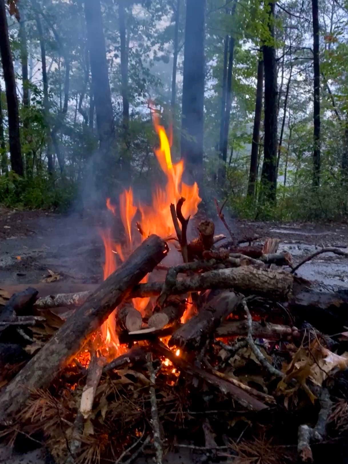 Camper-submitted photo at Red River Gorge Campground near Buckhorn Lake