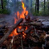 Review photo of Red River Gorge Campground by Wayne H., September 14, 2020