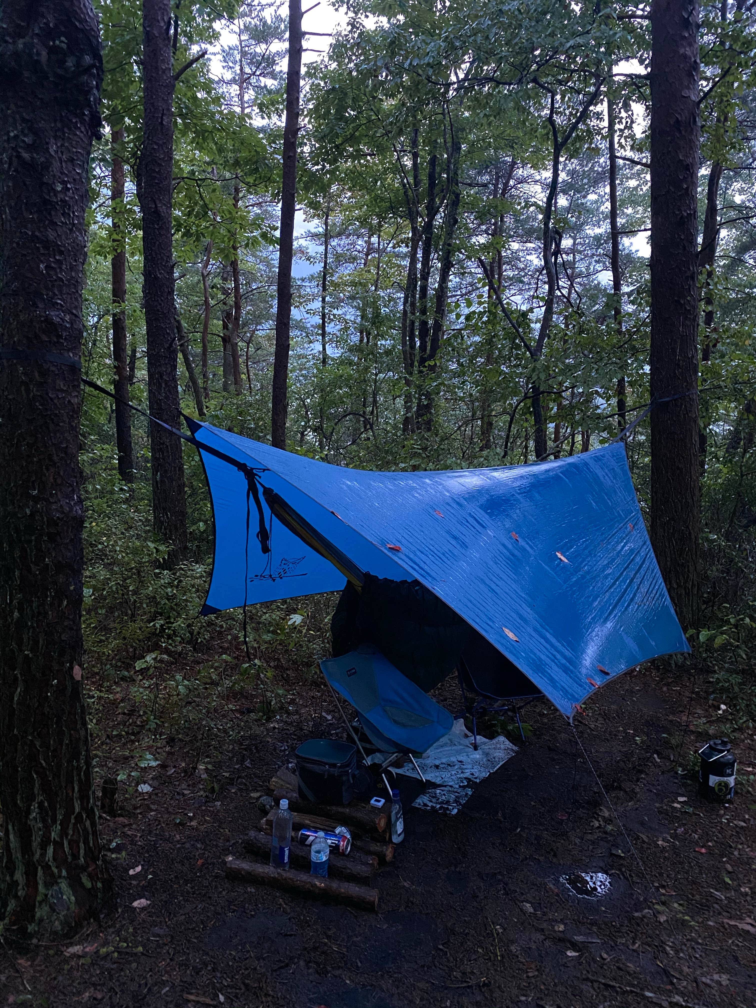 Wayne H.'s photo of tent camping at Red River Gorge Campground near Hazard, KY