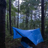 Review photo of Red River Gorge Campground by Wayne H., September 14, 2020