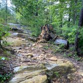 Review photo of Red River Gorge Campground by Wayne H., September 14, 2020