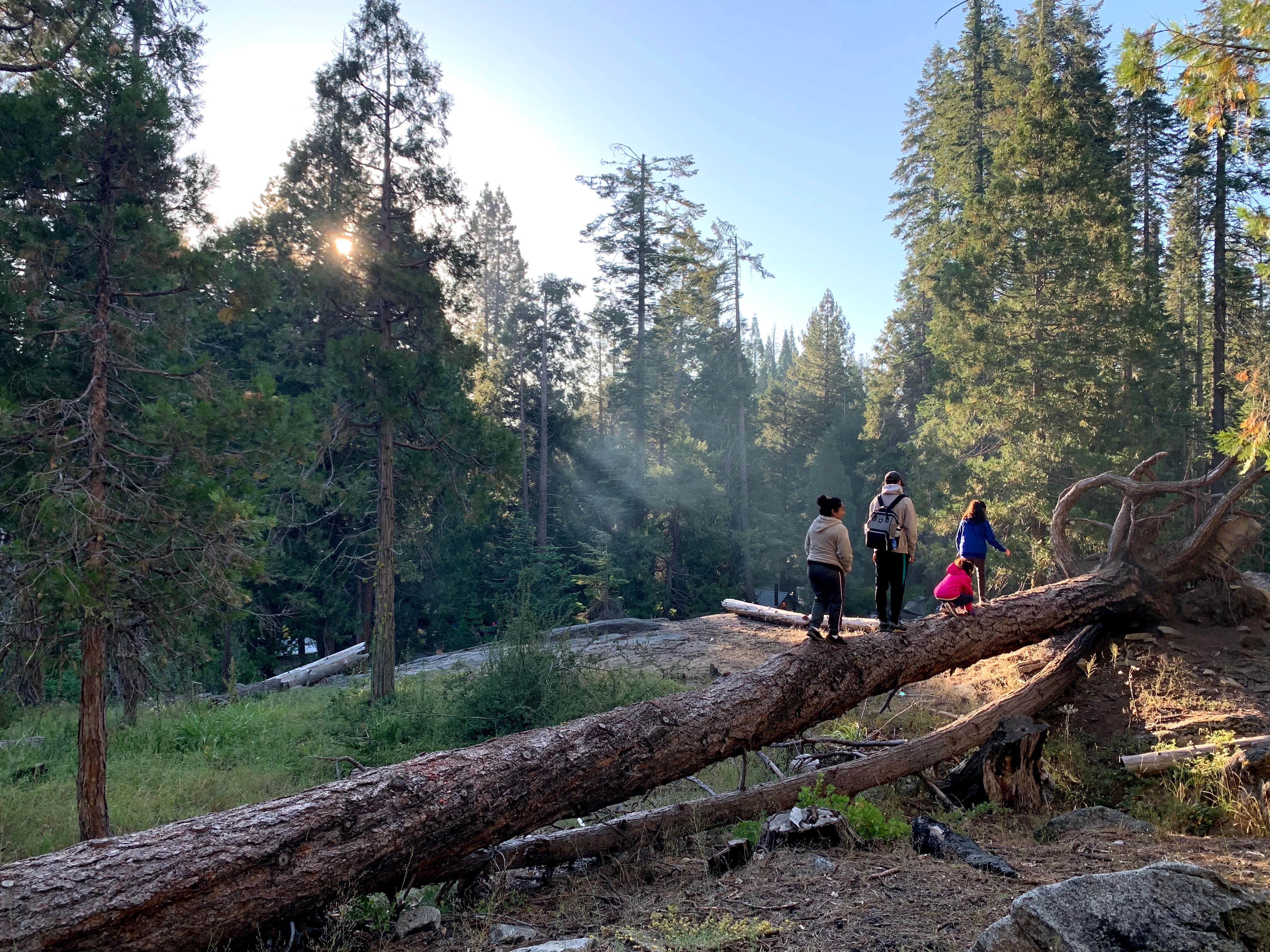 Camper-submitted photo at Dorabelle Campground near Big Creek, CA