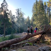 Review photo of Dorabelle Campground by Nelson E., September 14, 2020