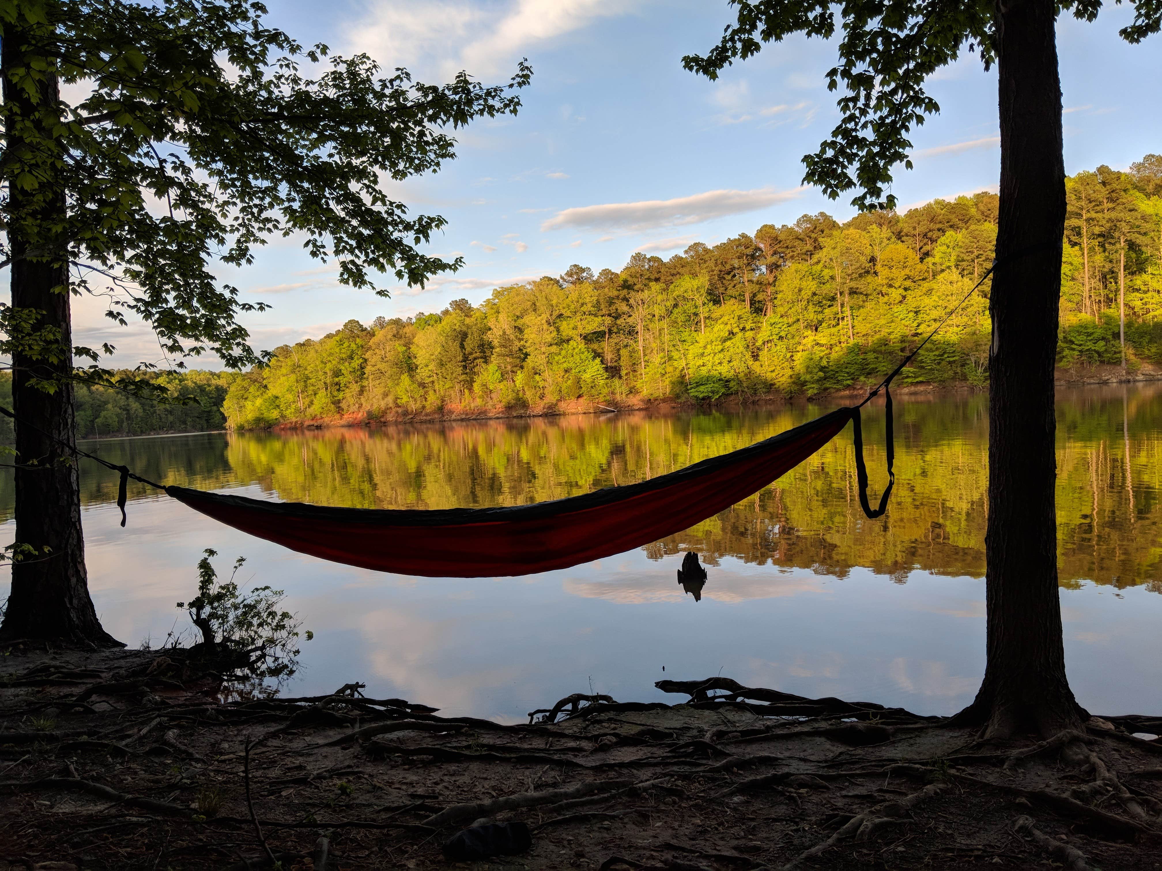 Camper submitted image from Holly Point — Falls Lake State Recreation Area - 4