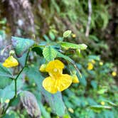 Review photo of Willow River State Park Campground by Sarah O., September 14, 2020