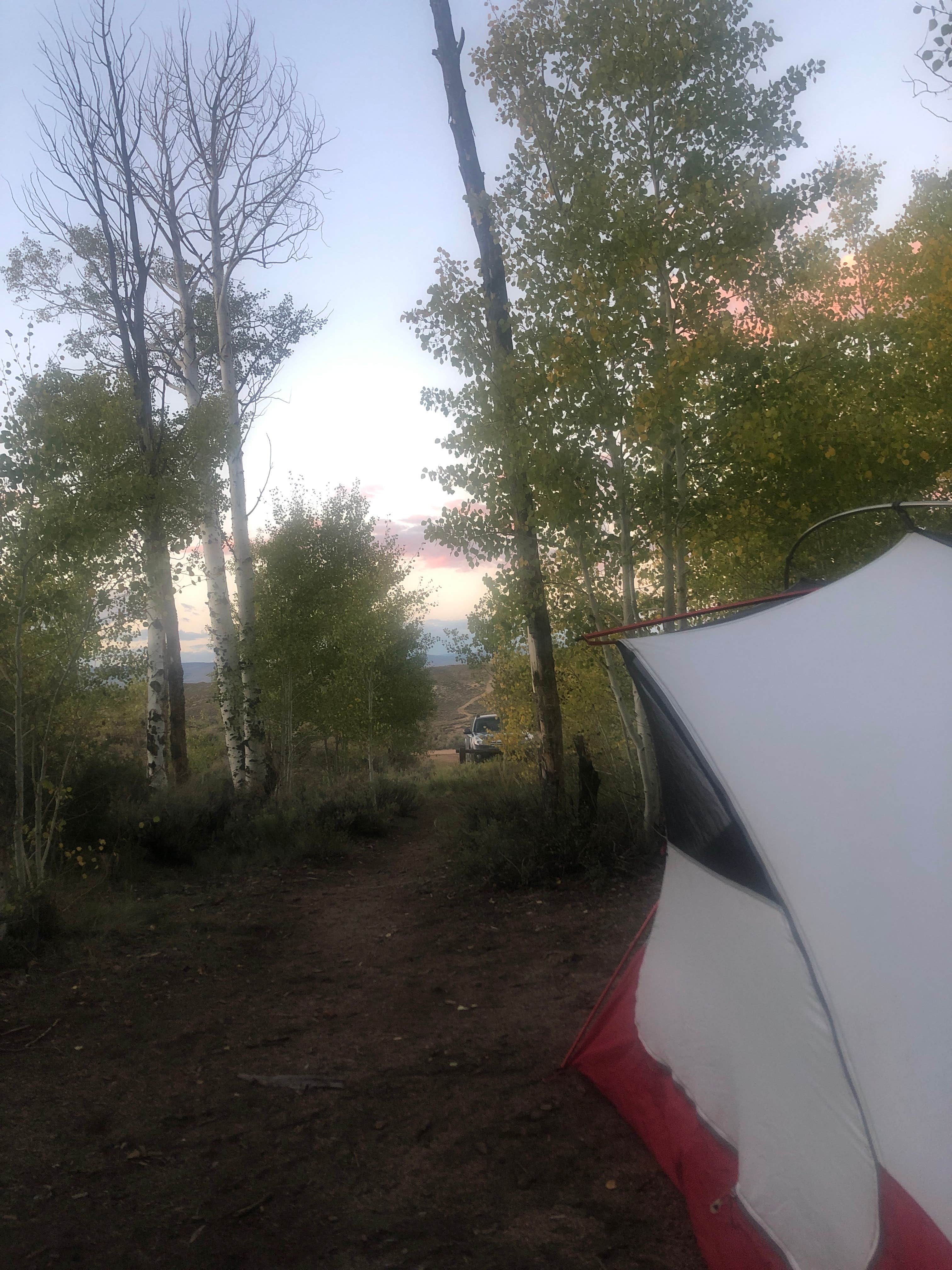 Camper submitted image from Hartman Rocks Recreation Area - 3