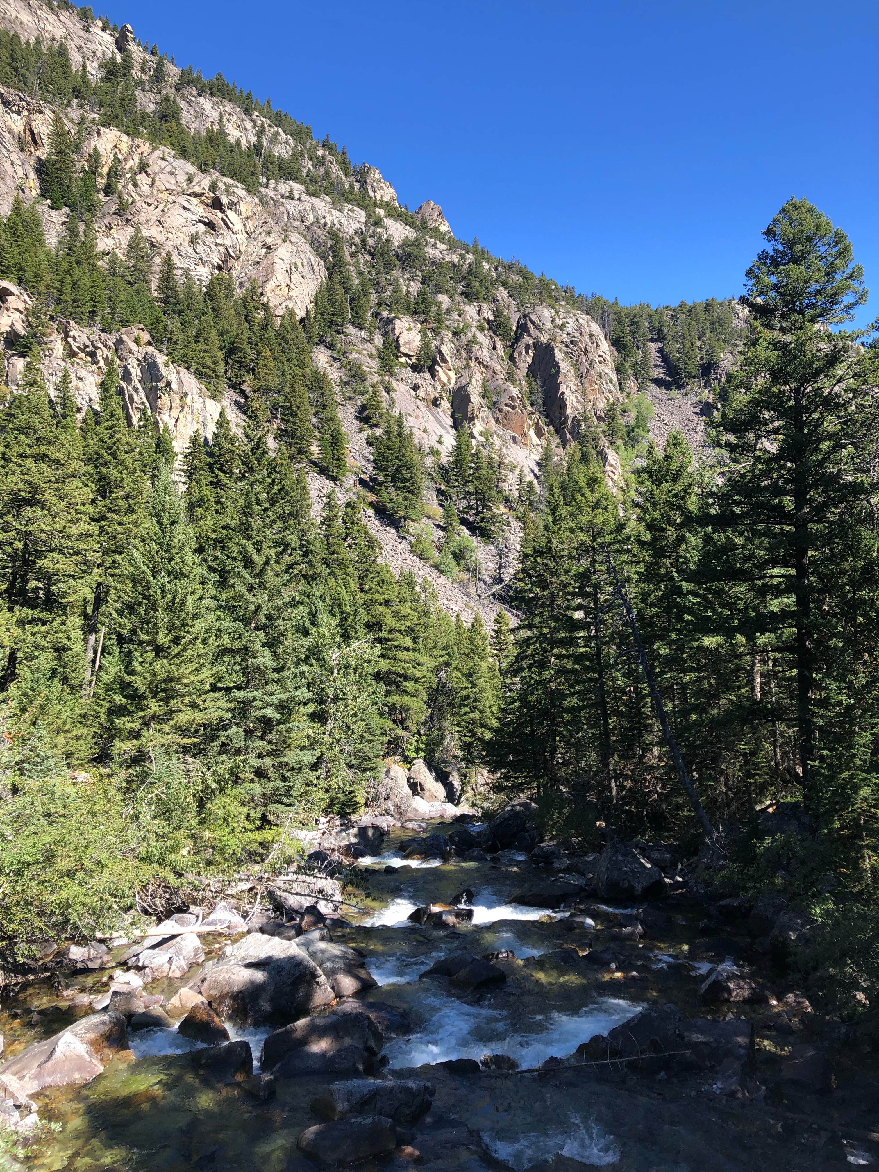 Camper-submitted photo at Initial Creek Campground near Melville, MT