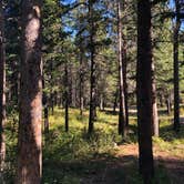 Review photo of Initial Creek Campground by Jessica , September 14, 2020