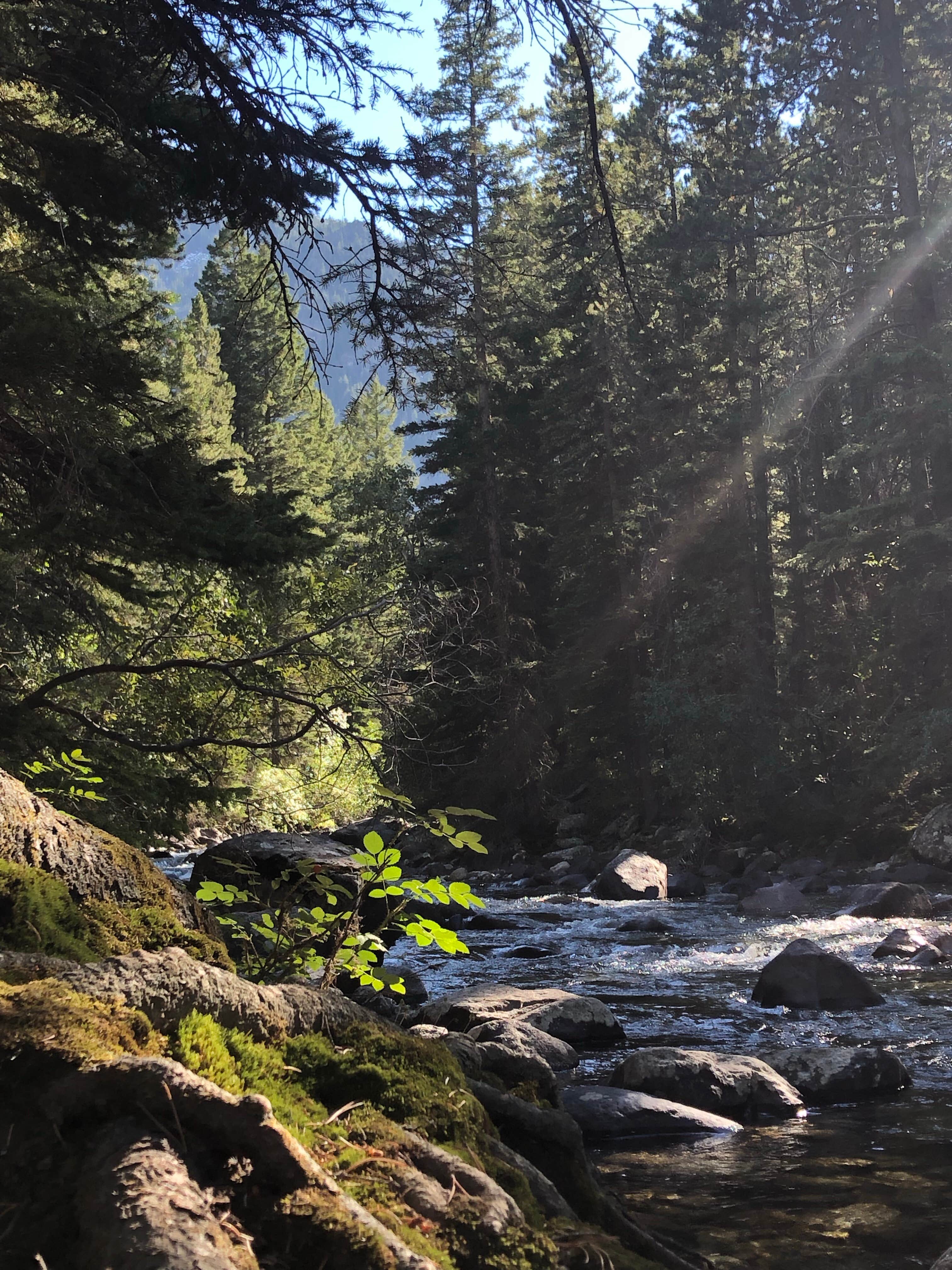 Camper-submitted photo at Initial Creek Campground near Melville, MT