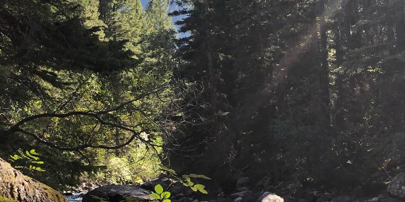 Camper submitted image from Initial Creek Campground