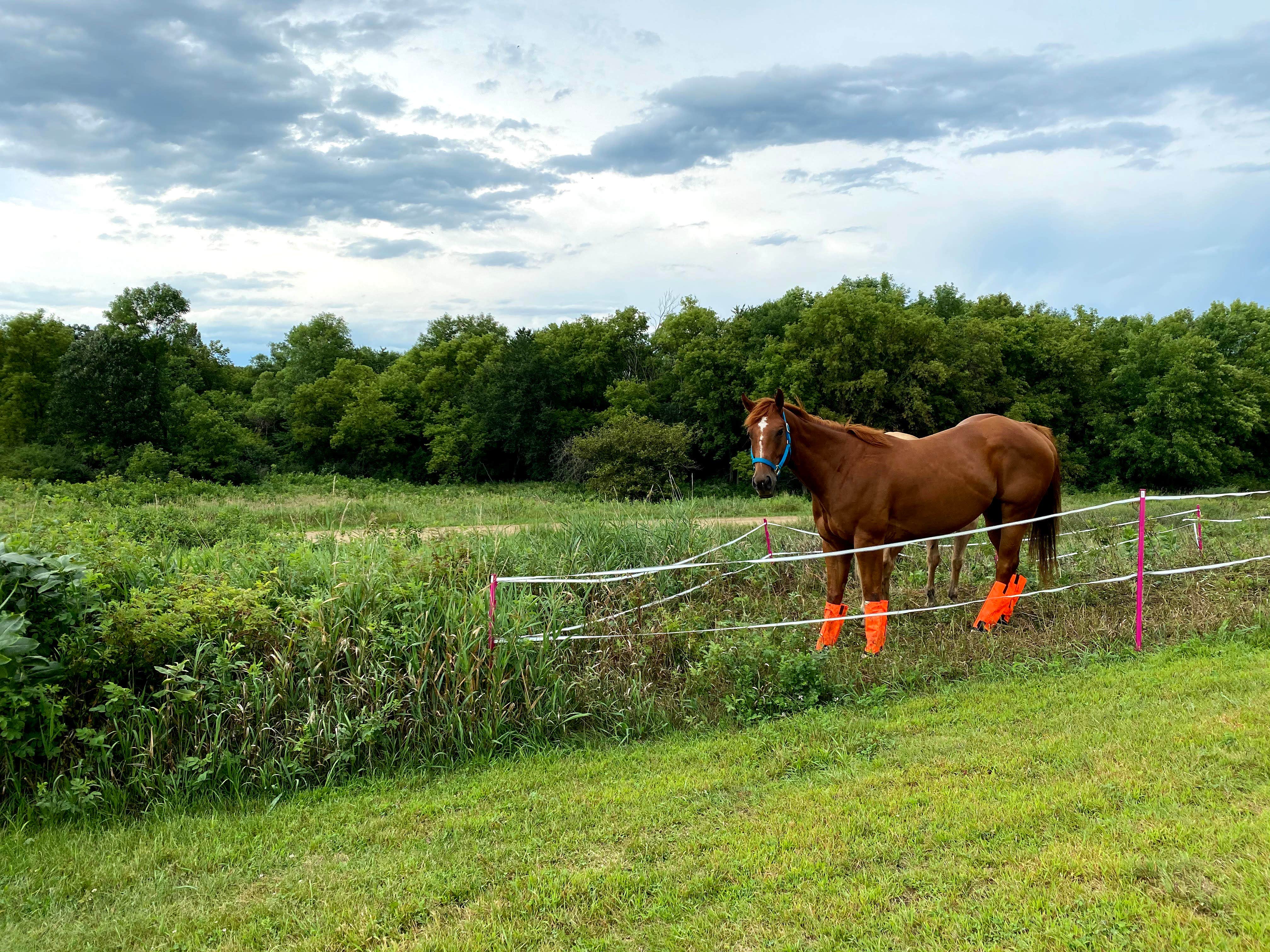 Camper-submitted photo at Garvin County Park near Minneota, MN