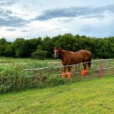 Review photo of Garvin County Park by Sarah O., September 14, 2020