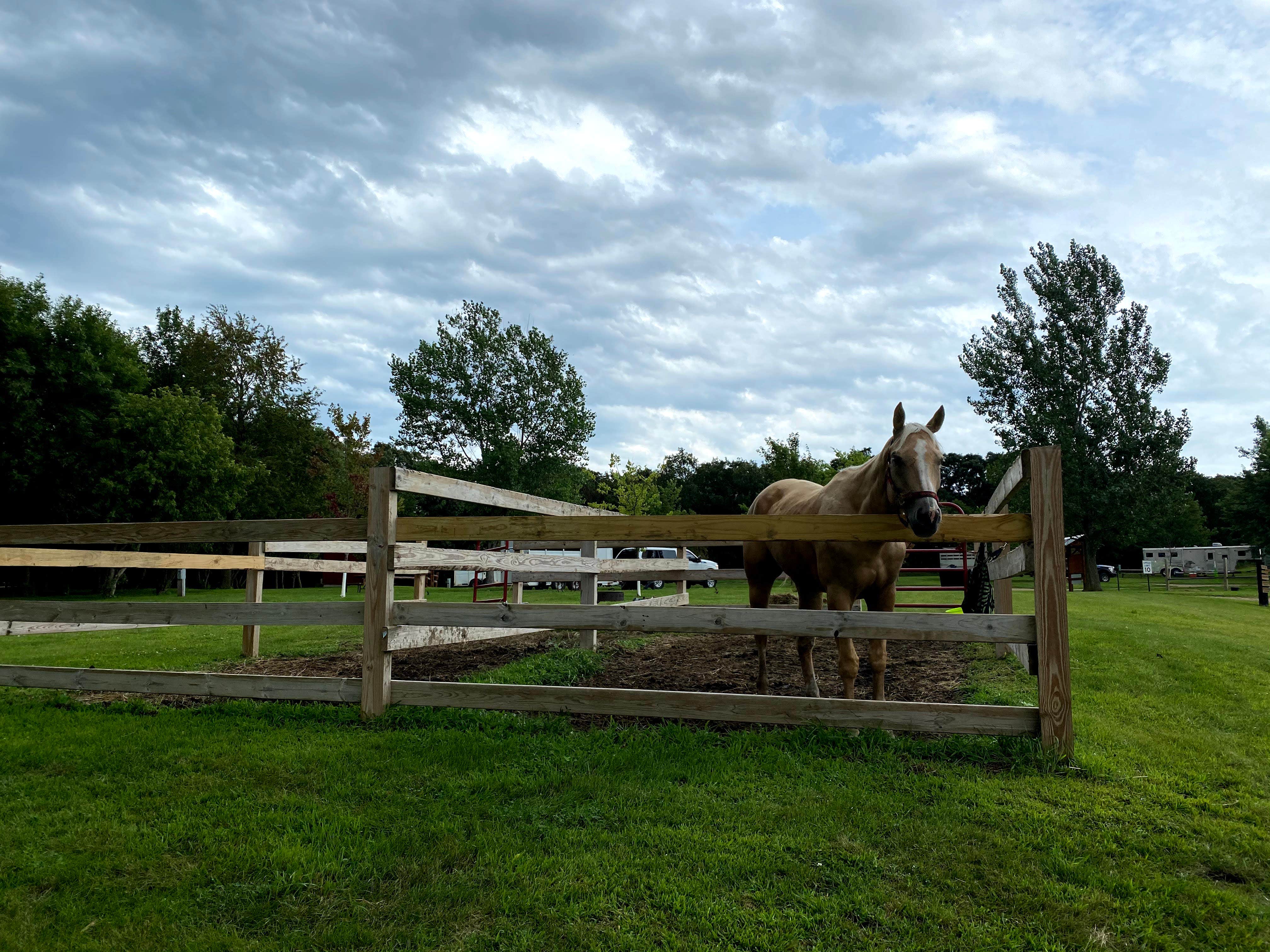 Camper submitted image from Garvin County Park - 2