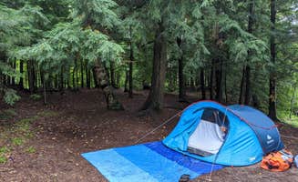 Kim's photo at Turtle Flambeau Scenic Waters Area near Chequamegon-Nicolet NF