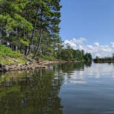 Review photo of Turtle Flambeau Scenic Waters Area by Kim , September 14, 2020