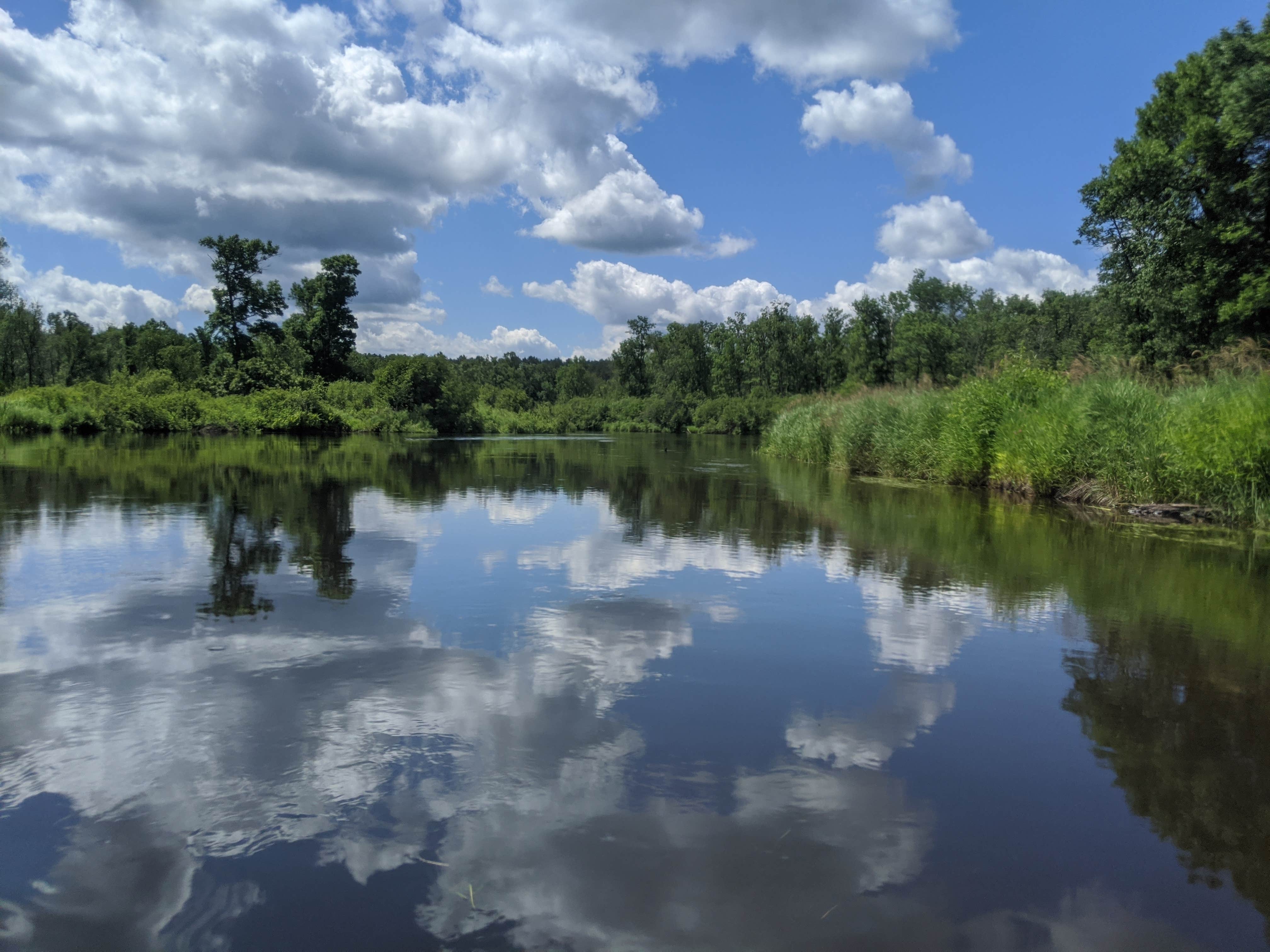 Camper submitted image from Namekagon Lake Campground - 2