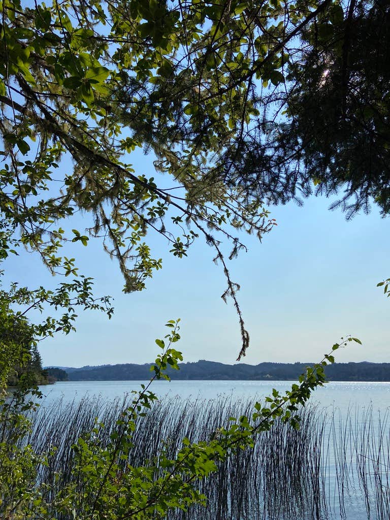 Siltcoos Lake Trail