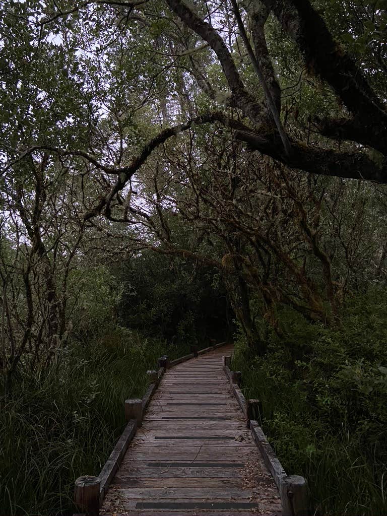 Camper-submitted photo at Waxmyrtle Campground near Florence, OR