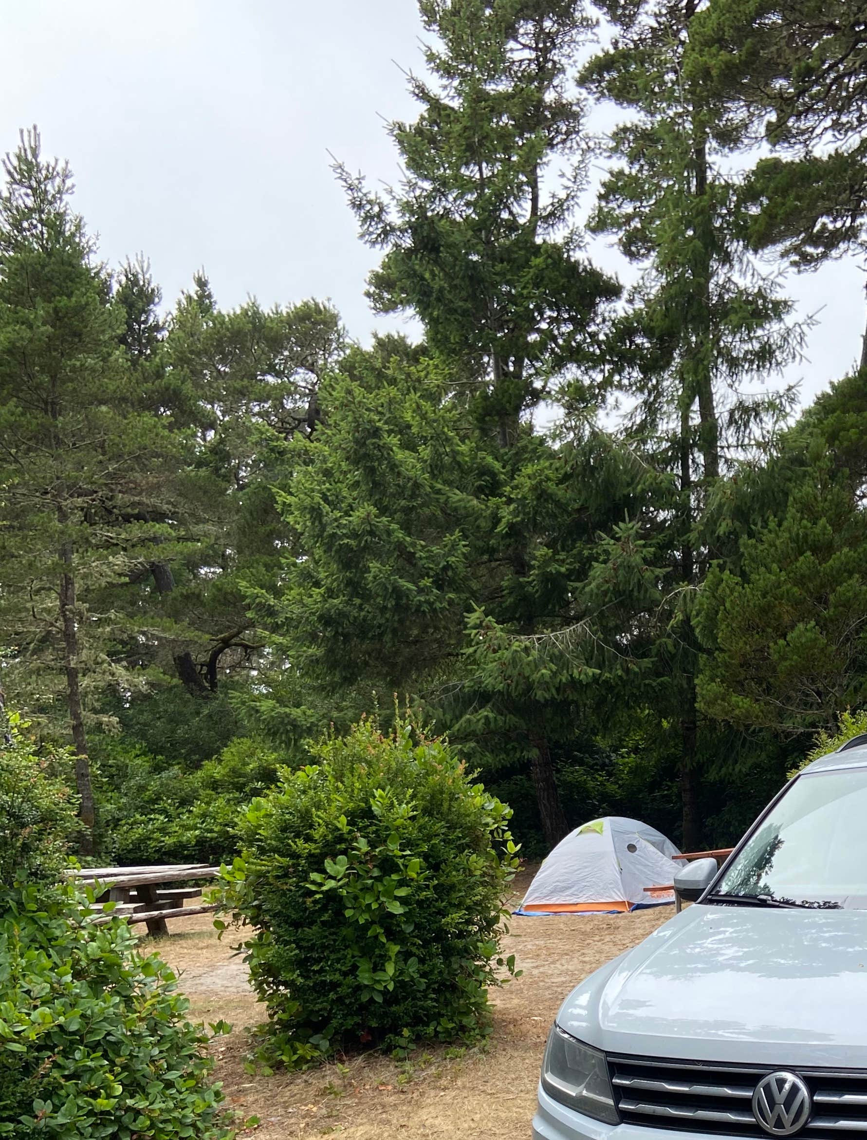 Campsite