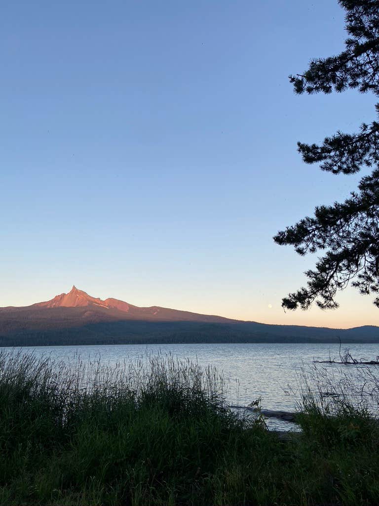 Thielsen View Campground The Dyrt