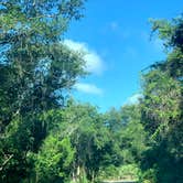 Review photo of Anastasia State Park Campground by Ashley B., September 14, 2020