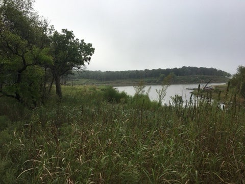 Camper submitted image from Toronto Point — Cross Timbers State Park - 3