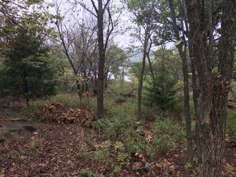 Camper-submitted photo at Timber Ridge Campground — Cross Timbers State Park near Fall River, KS