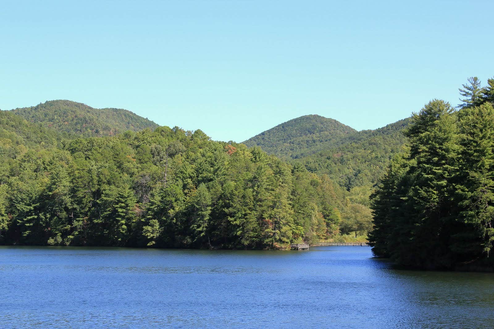 Camper submitted image from Unicoi State Park & Lodge - 2
