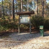 Review photo of Croatan National Forest Oyster Point Campground by Joshua F., September 14, 2020