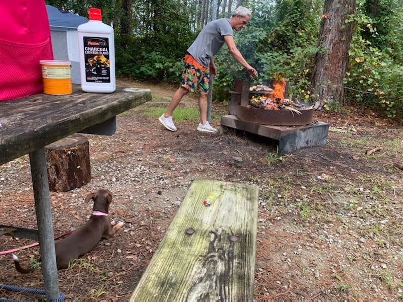 Camper submitted image from Croatan National Forest Oyster Point Campground - 1