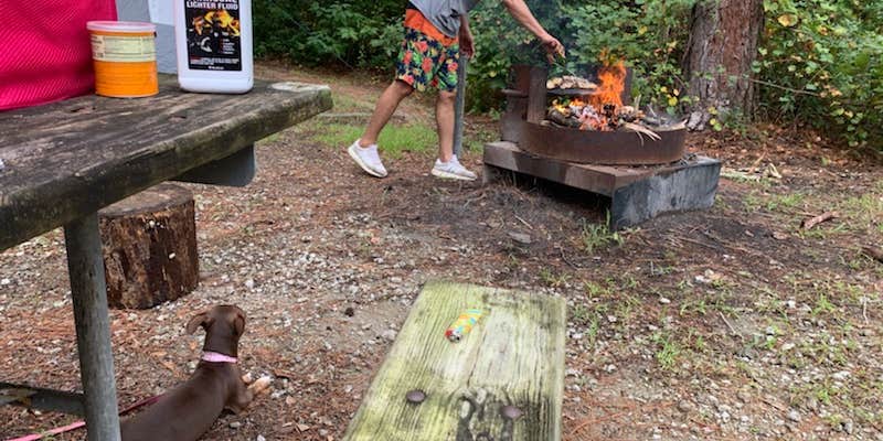 Camper submitted image from Croatan National Forest Oyster Point Campground