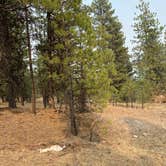 Review photo of Green Mountain North Trailhead Dispersed Camping by Amanda B., September 14, 2020