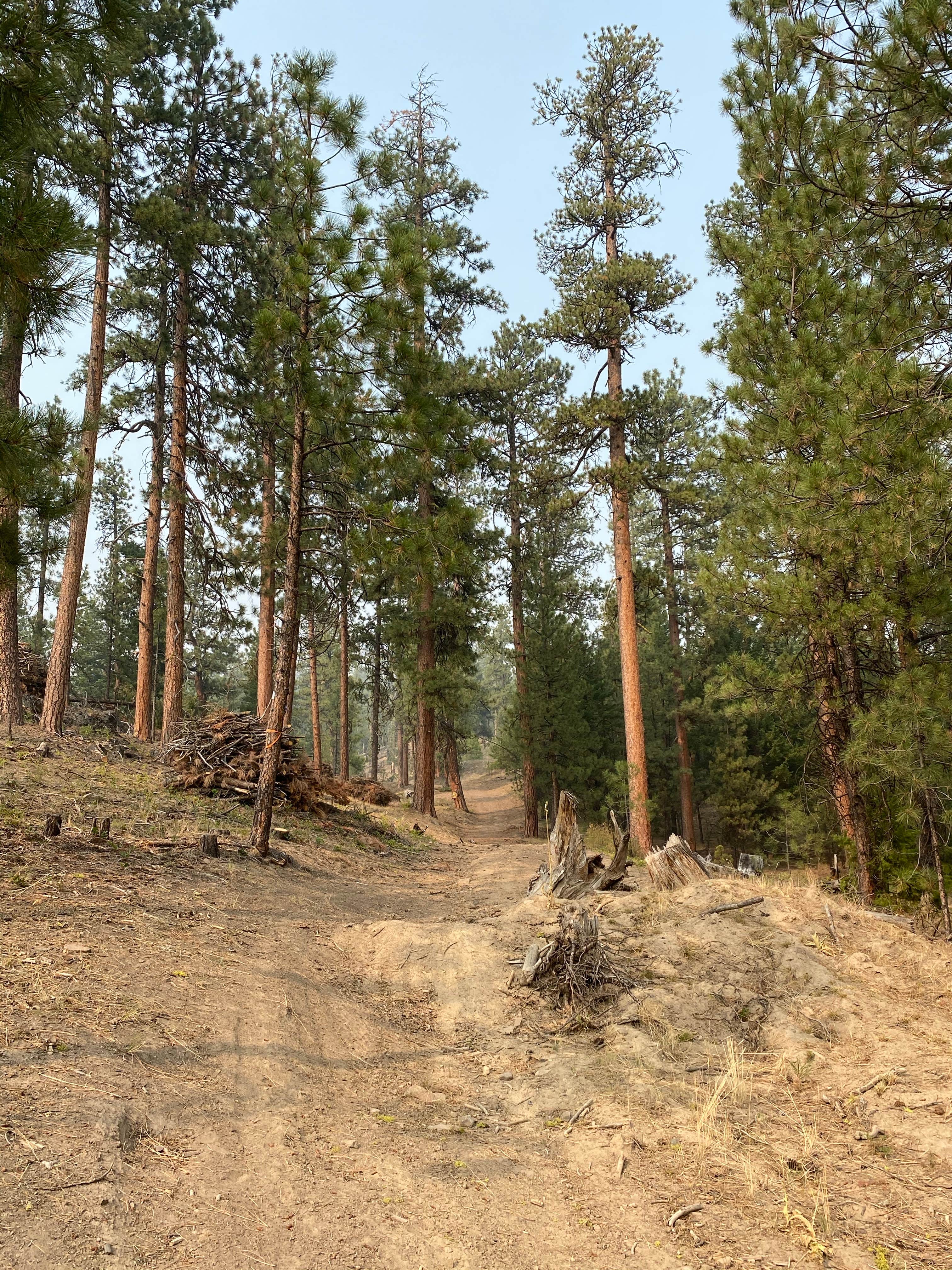 Camper-submitted photo at Green Mountain North Trailhead Dispersed Camping near Central Oregon
