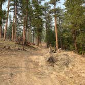 Review photo of Green Mountain North Trailhead Dispersed Camping by Amanda B., September 14, 2020