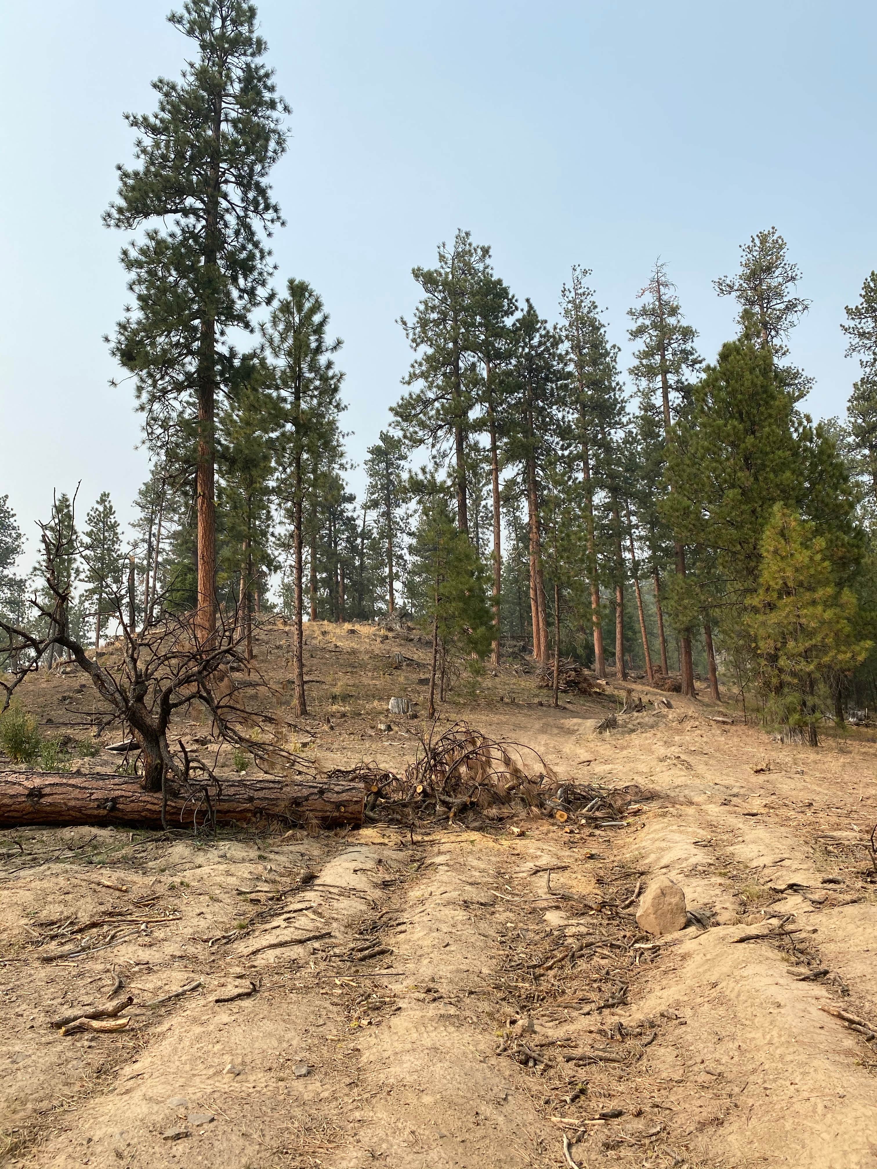 Camper-submitted photo at Green Mountain North Trailhead Dispersed Camping near Central Oregon