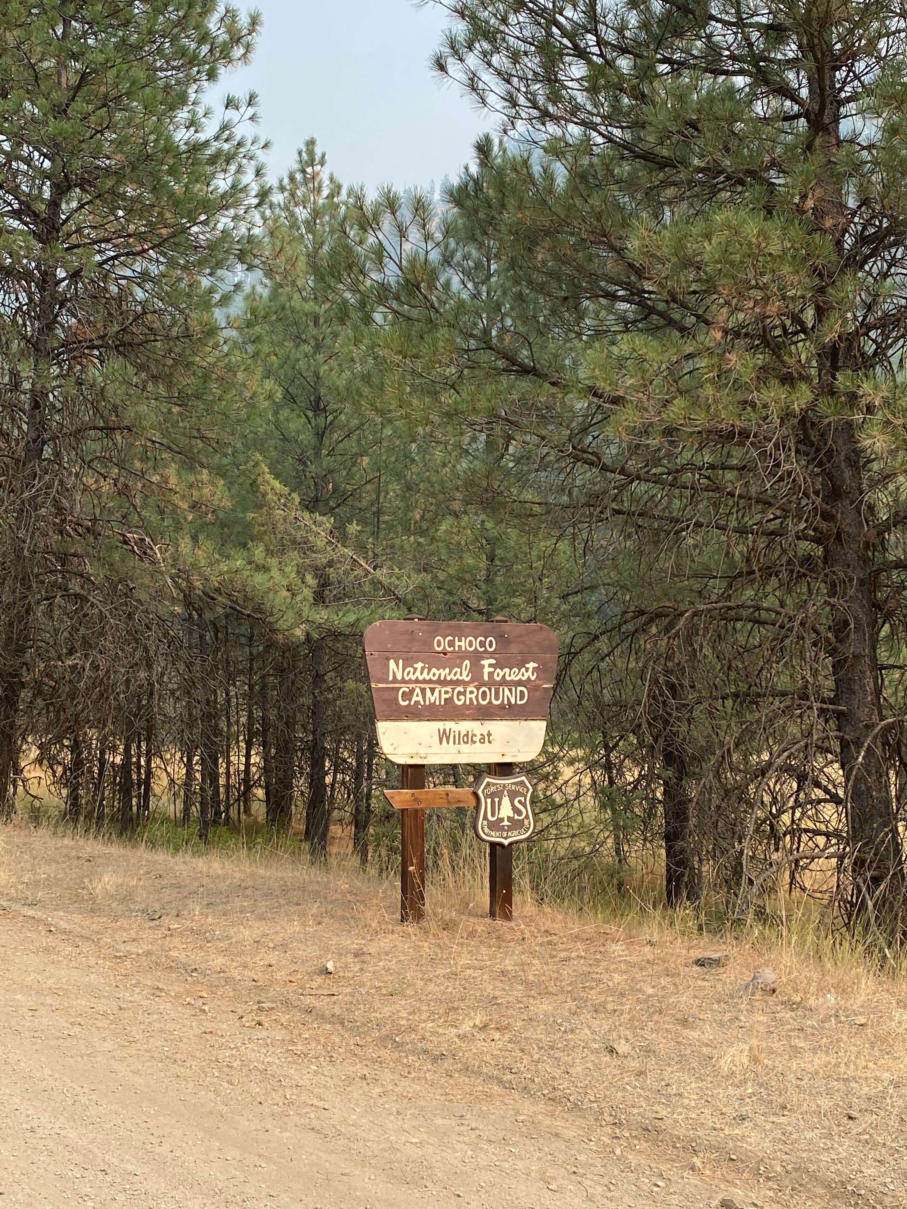 Camper submitted image from Wildcat Campground & Day Use Area - 2