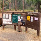 Review photo of Wildcat Campground & Day Use Area by Amanda B., September 14, 2020