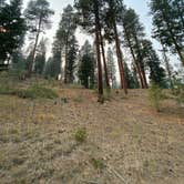 Review photo of Wildcat Campground & Day Use Area by Amanda B., September 14, 2020