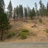 Review photo of Wildcat Campground & Day Use Area by Amanda B., September 14, 2020