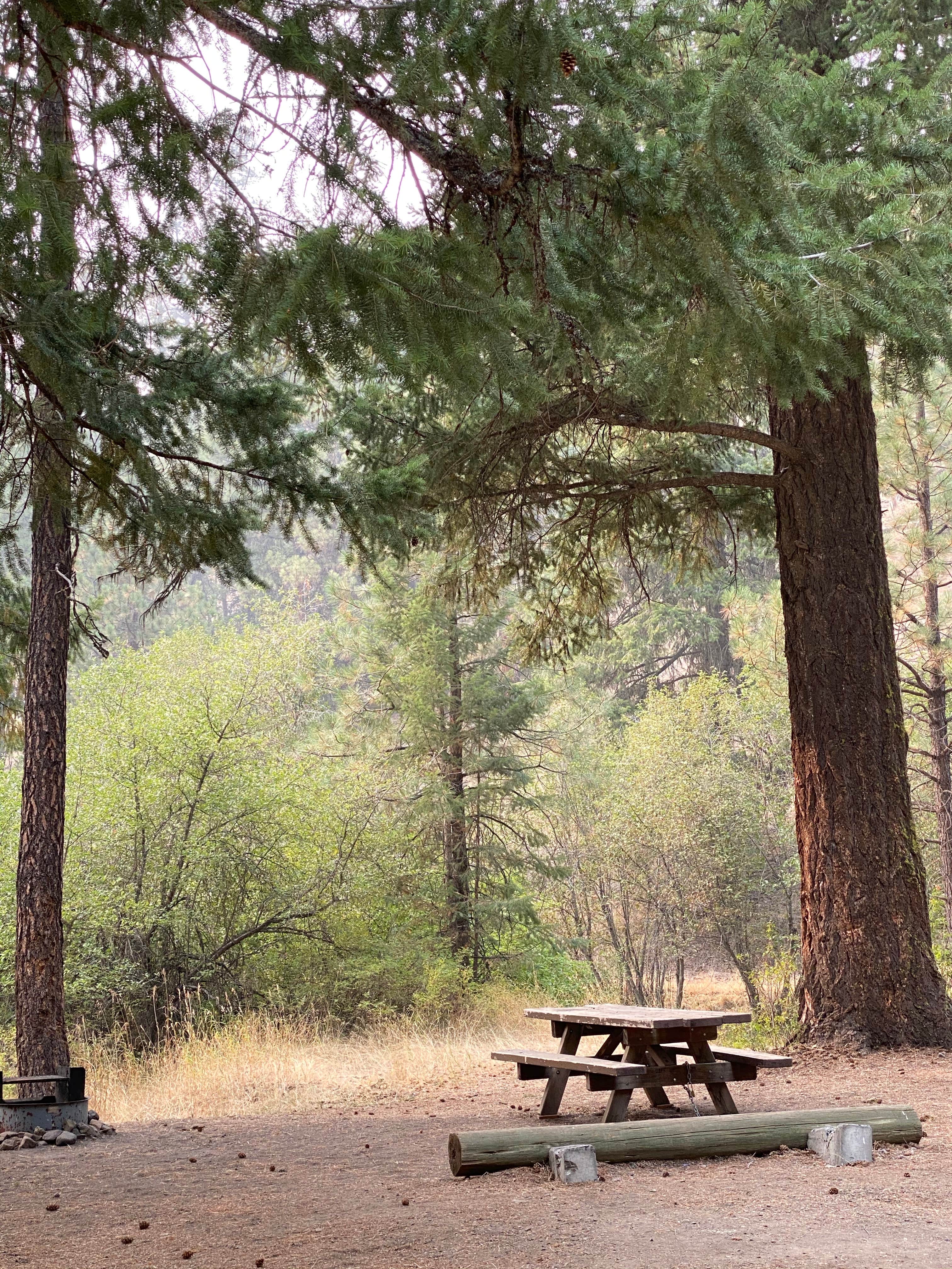 Wildcat Campground & Day Use Area