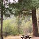 Wildcat Campground & Day Use Area