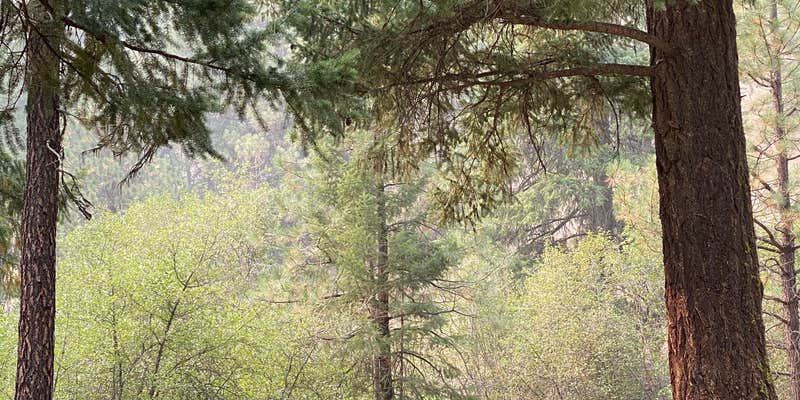 Camper submitted image from Wildcat Campground & Day Use Area