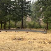 Review photo of Wildcat Campground & Day Use Area by Amanda B., September 14, 2020