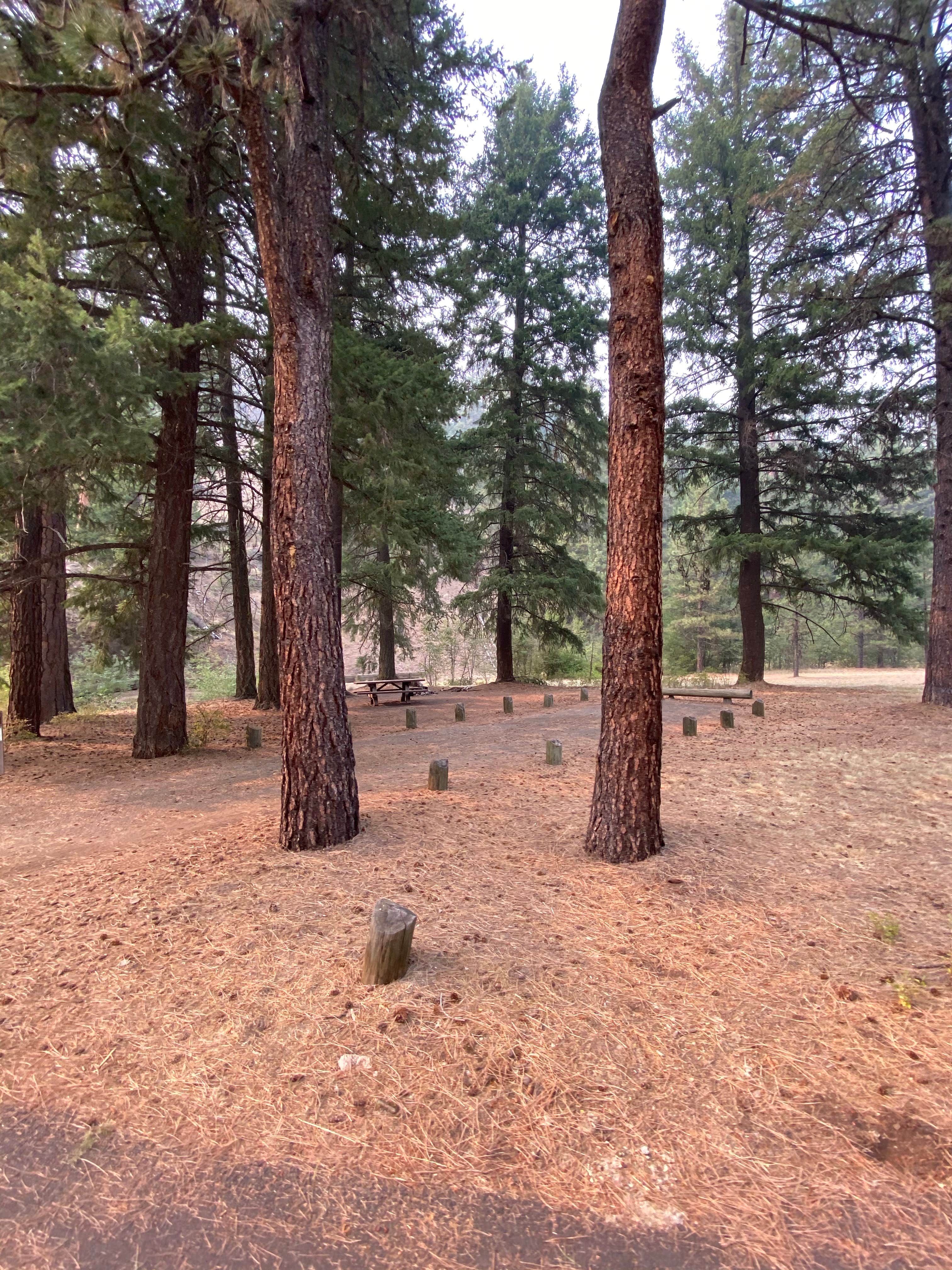 Camper-submitted photo at Wildcat Campground & Day Use Area near Ochoco National Forest and Crooked River National Grassland