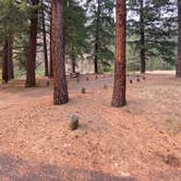 Review photo of Wildcat Campground & Day Use Area by Amanda B., September 14, 2020