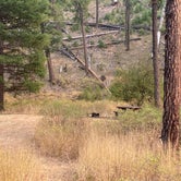 Review photo of Wildcat Campground & Day Use Area by Amanda B., September 14, 2020