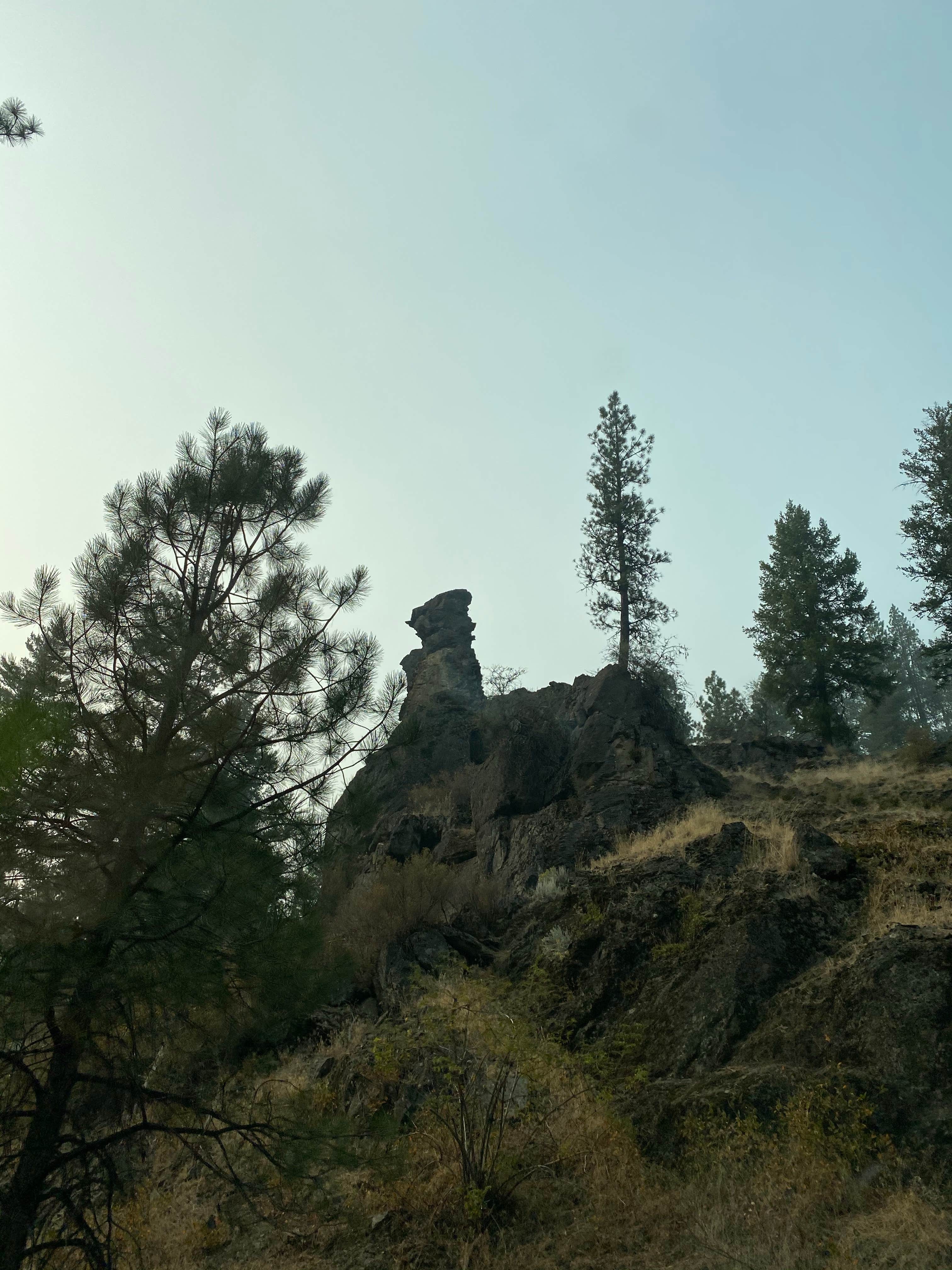 Camper-submitted photo at Wildcat Campground & Day Use Area near Ochoco National Forest and Crooked River National Grassland