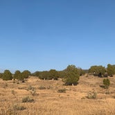 Review photo of Sheep Creek Dispersed Camping Area  by Jennifer R., September 14, 2020